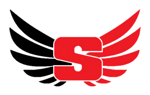TEAM SBM logo